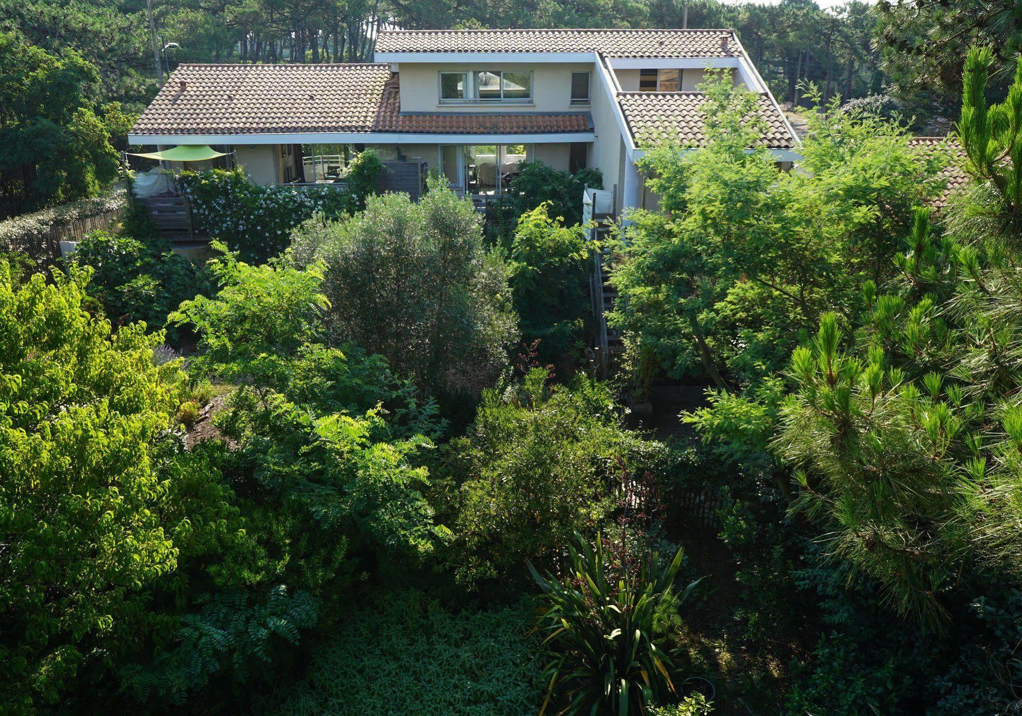 Le Lodge Du Cap Ferret Lège-Cap-Ferret Exterior foto